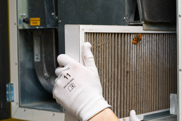 Best Local Air Duct Cleaning Services  in Columbia, MS